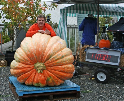 Ckagit Valley Christianson's Nursery Giant Pumpkin Weigh-off winner