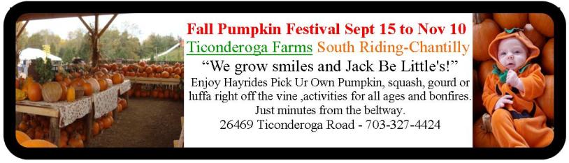 Ticonderoga Farms corn maze