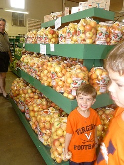 B.J. Reese apple orchard and corn maze with hayrides