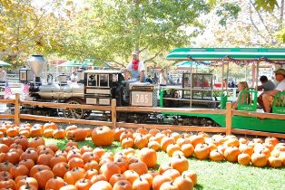 Irvine Park Railroad Pumpkin Train