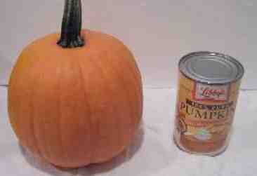 fresh poumpkin or canned