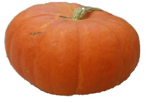 fairytale pumpkin