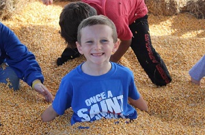 Miracle Farms Pumpkin Patch