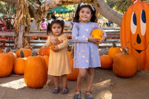 Irvine Park Railroad pumpkin patch