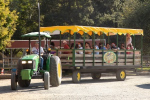 Irvine Park Railroad pumpkin patch hay ride