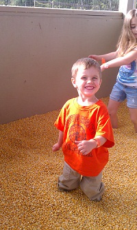 children in a corn box