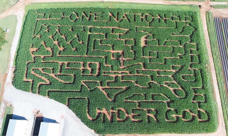 Southern Belle corn maze