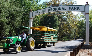 Irvine Park Railroad pumpkin patch hay ride