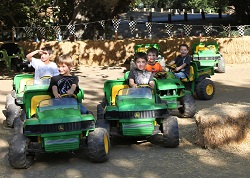 Irvine Park Railroad pumpkin patch tractor races