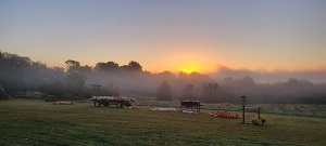 North 40 Pumpkin Patch