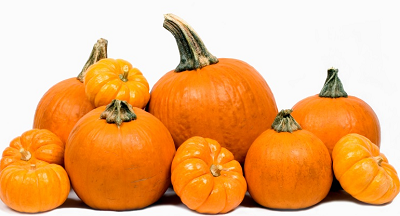 Grochowicz Farm Market and Deli - corn maze, pumpkins 