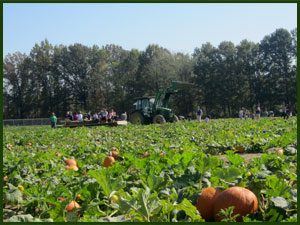 Pickering Hill Farms Fall Festival