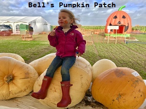 Bell's Pumpkin Patch