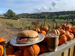 Birchfield Family Dairies - maize / corn maze, dairy ice cream