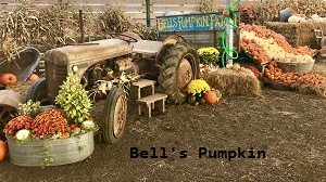 Bell's Pumpkin Patch