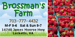 Brossman Family Farm - Strawberries, Peaches, nectarines, pumpkins