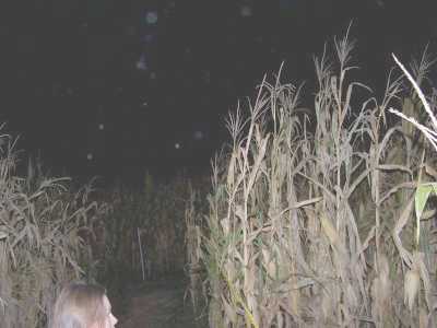 Cagles Corn maze at night