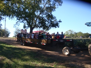 hayrides