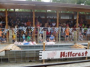 Hillcrest Orchards pig races