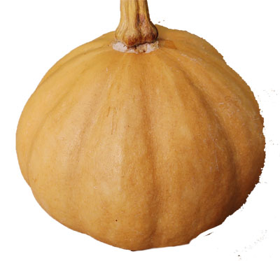 Master List of Pumpkin Varieties