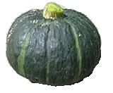 Kabocka pumpkin