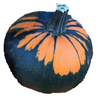 Batwing pumpkin