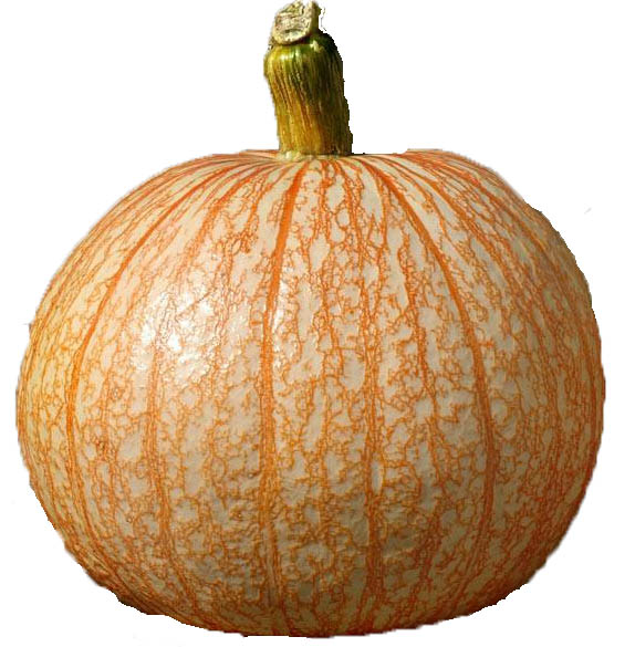 One-Too-Many pumpkin
