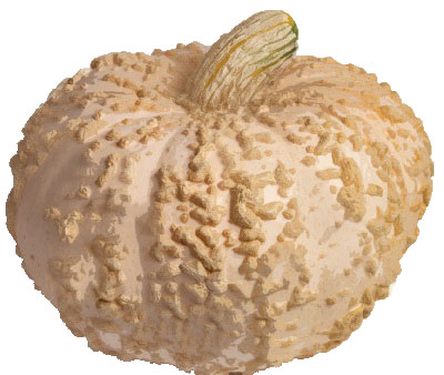Peanut pumpkin