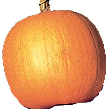 Spirit pumpkin