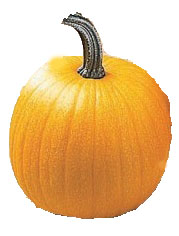 Touch of Autumn  pumpkin