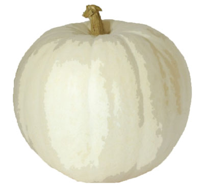 Valenciano pumpkin