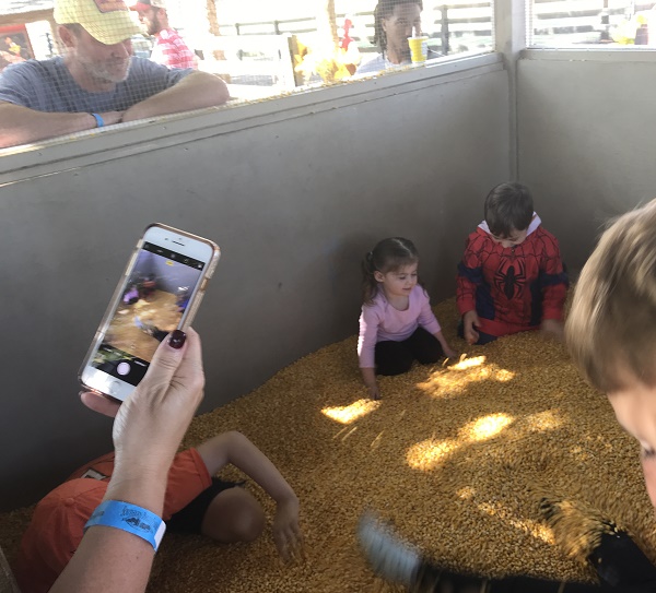 Corn crib - corn box